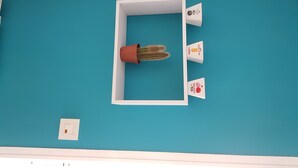 A room with a teal wall, a white shelf, and a potted cactus. - T1 bis Mezzanine, Très Lumineux, Proche Plage et Commodités (Le Château-d'Olonne)