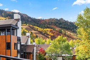 Exterior - Aspen Mountain Hideaway - Stunning Views! Modern Decor, Wood FP, Outdoor Pool, HT & Walk to Town (Aspen)