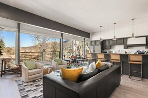 TV, fireplace - Aspen Mountain Hideaway - Stunning Views! Modern Decor, Wood FP, Outdoor Pool, HT & Walk to Town (Aspen)