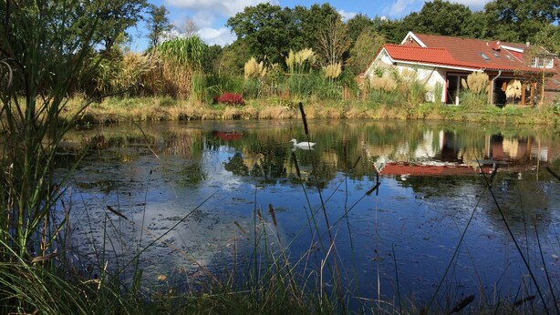 A house with a red roof and a pond in front. - A little oasis in the middle of nature (Friedeburg)