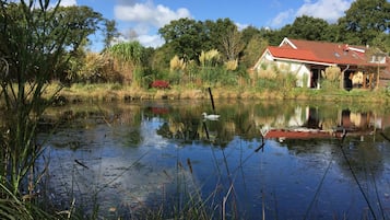 Ein Haus mit rotem Dach und einem Teich davor.