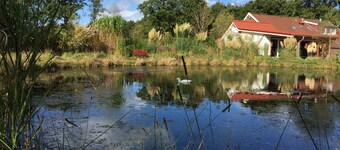 A little oasis in the middle of nature