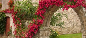 Manoir de Menez Bras - Le Petit Penty