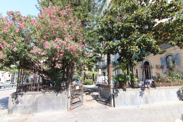 Área da propriedade