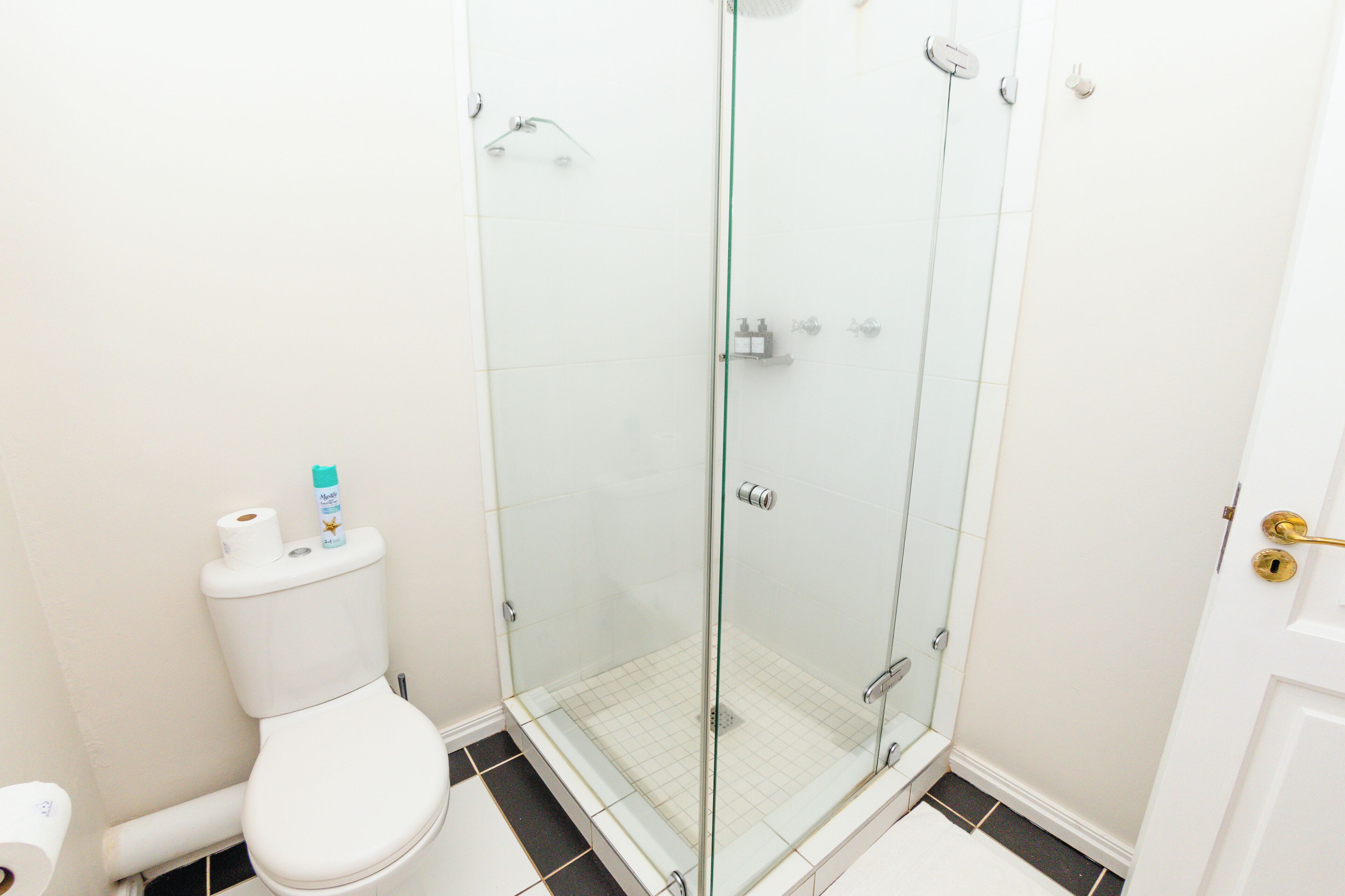 Une salle de bain avec des toilettes, une douche à parois de verre et une porte blanche avec une poignée dorée.