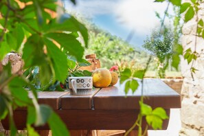 Cottage | Terrace/patio