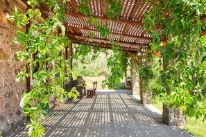 Cottage | Terrace/patio