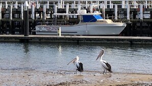 Une scène au bord de l’eau, avec un bateau amarré et deux pélicans sur la plage.