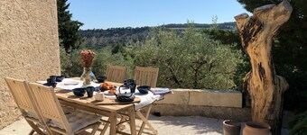 Mas provençal La Serallère in the heart of olive groves