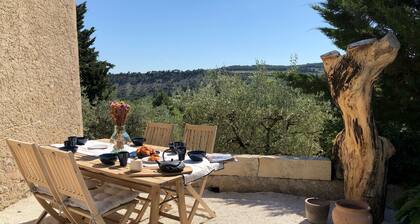 Mas provençal La SerallÚre au coeur des oliviers