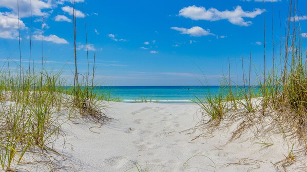 Playa en los alrededores 