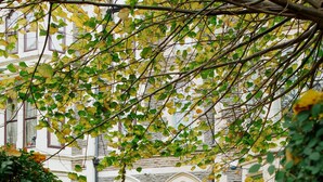 A gated entrance with a cobblestone pathway, a wooden door, and a stone building with arched windows. - The Suite, 82 Cathedral, Private Parking (Cardiff)