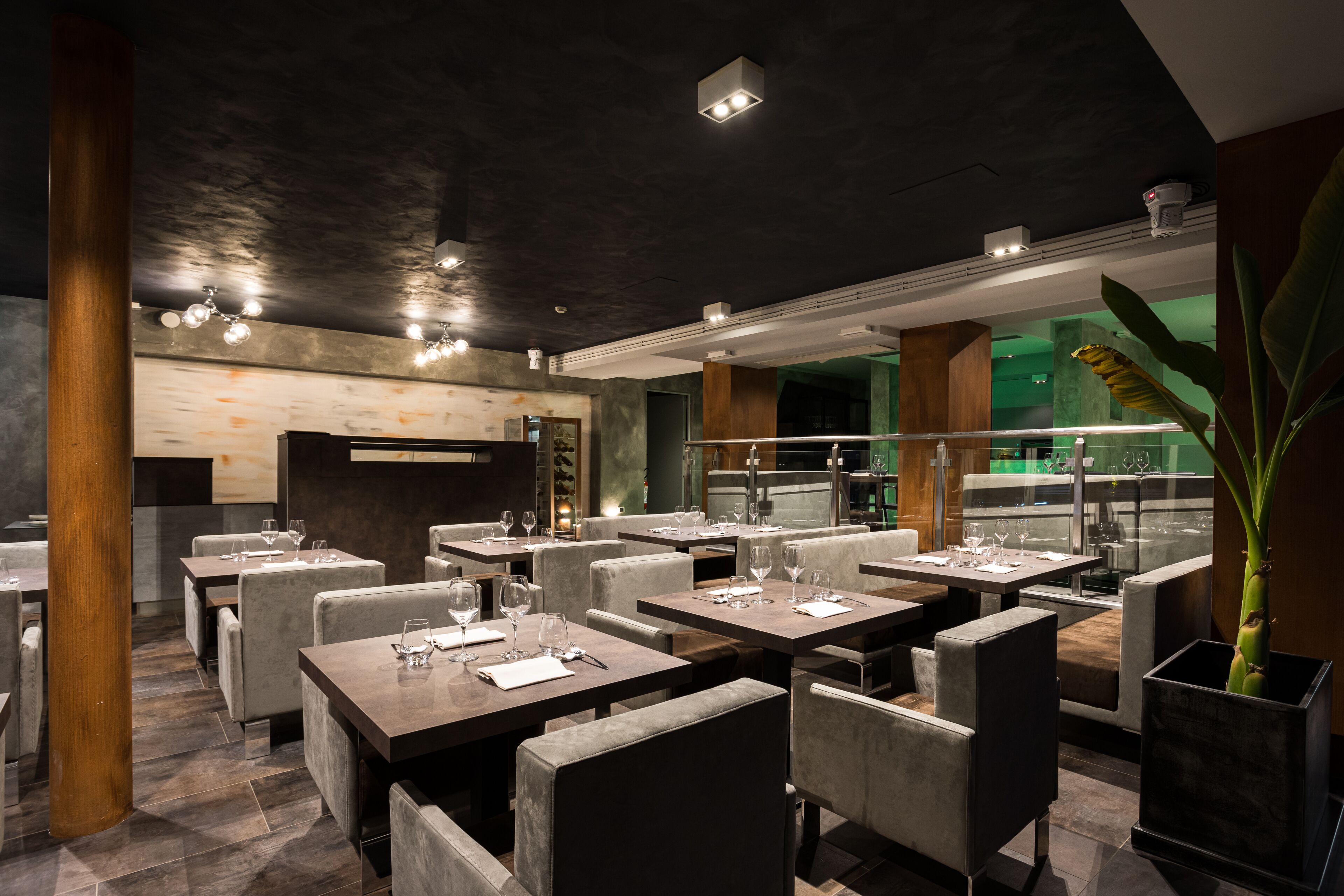 Een modern restaurant met verschillende tafels en stoelen, een grote potplant en uitzicht op de keuken.