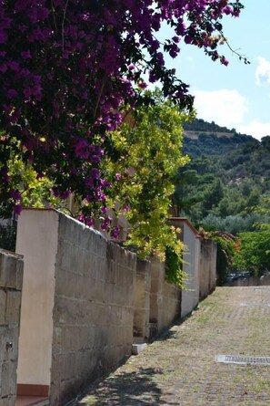 Property grounds - lovely weeks in Pugnochiuso - the pearl of Gargano (Vieste)