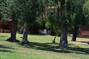 Property grounds - lovely weeks in Pugnochiuso - the pearl of Gargano (Vieste)