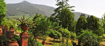 19th century villa: living room, dining, study, 5 double rooms, park,, panorama.