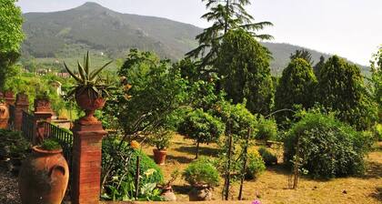 19th century villa: living room, dining, study, 5 double rooms, park,, panorama.