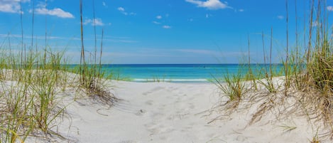 Playa en los alrededores