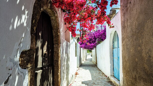 A narrow cobblestone alley with white walls, a wooden door, and vibrant pink and purple flowers hanging over the path. - Muazzo Historic Residence, a modernized gem (Pigi, Rethymno)