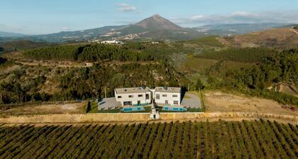 Casa dos Mirtilos Draper T6