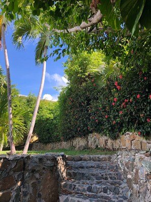 Áreas de la propiedad