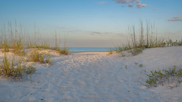 A sandy beach with sparse vegetation and a clear view of the ocean. - Beach Please ~ Luxe Cottage ~ Steps from Sand (Treasure Island)