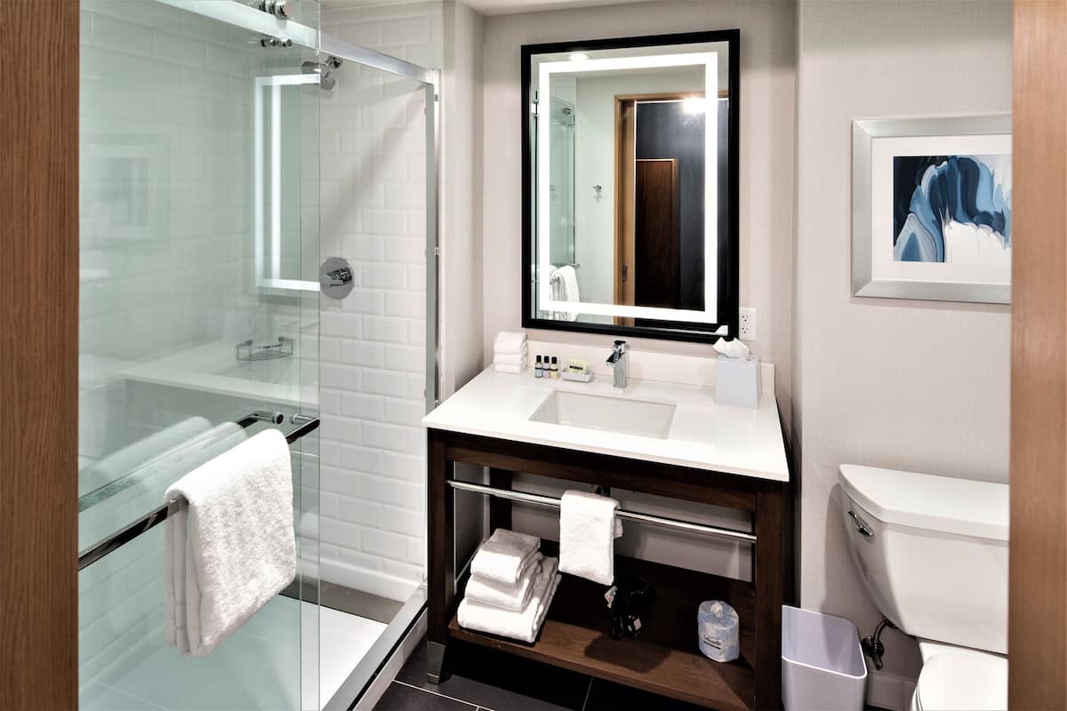 free toiletries, hair dryer, towels, soap