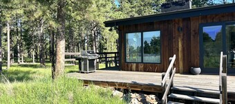 Remodeled modern hermits cabin