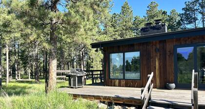 Remodeled modern hermits cabin