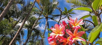 An Affordable Alternative to Expensive Accommodations in Poipu