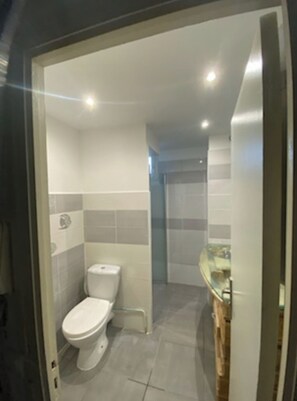 Shower, hair dryer
