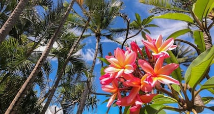 An Affordable Alternative to Expensive Accommodations in Poipu