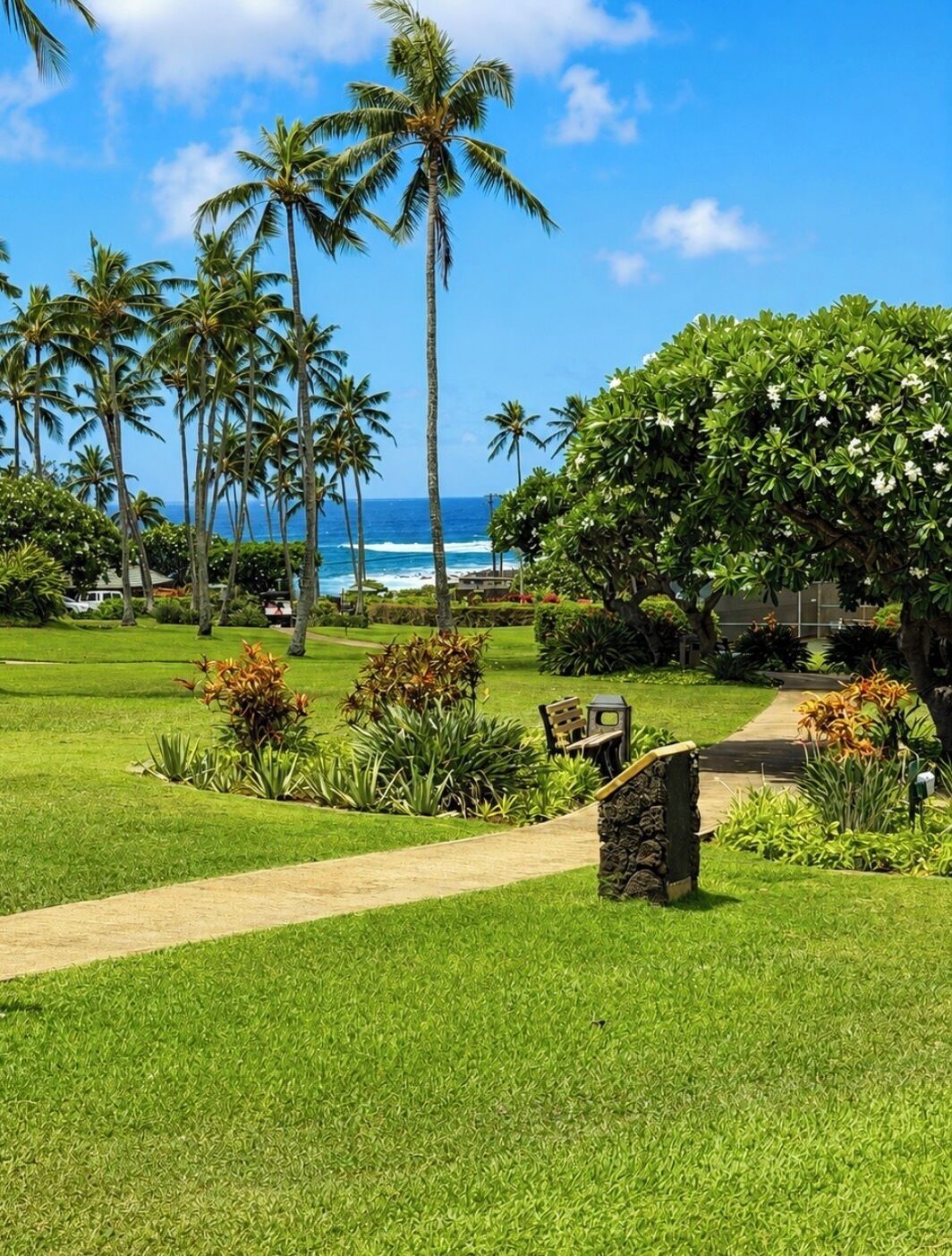 A well-maintained garden with a pathway leading to a building, palm trees, and a view of the ocean.