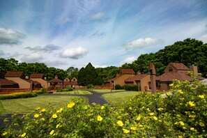 Property grounds - Holiday Ready! (Galena)