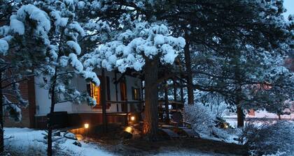 Close to Downtown Estes Park, RMNP, Hot Tub, Activity Shed! Far View Cabin