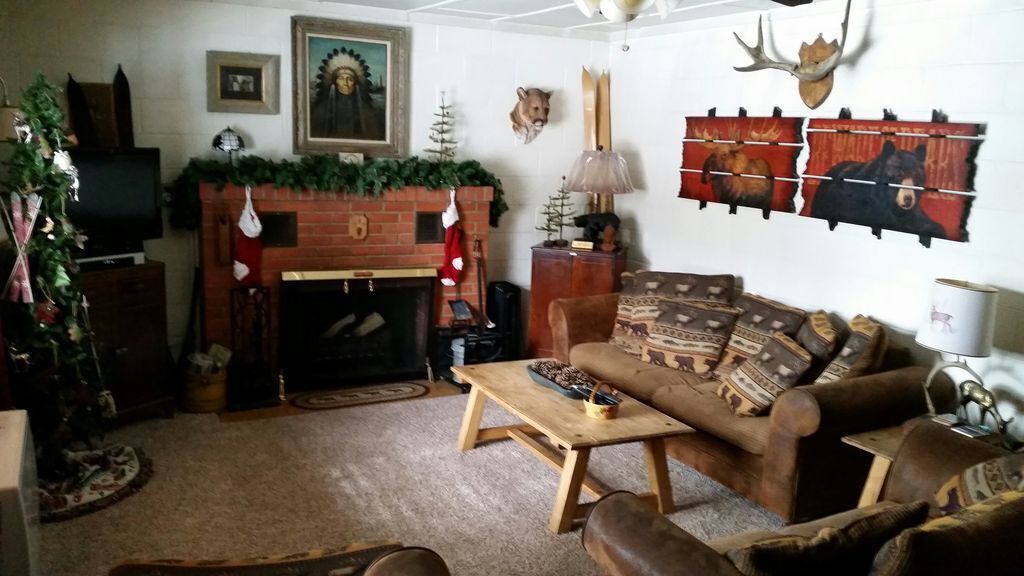 Télévision, cheminée, lecteur de DVD, livres