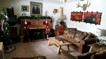 Télévision, cheminée, lecteur de DVD, livres