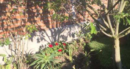 Tababela Airport B&B