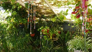 A greenhouse with various potted plants and hanging decorative beads.