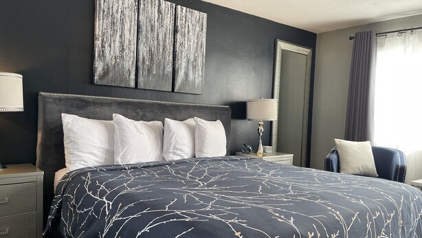 A modern hotel room with a large bed, a headboard, a bedside table with a lamp, a chair, and a large mirror. - #4 King- Vine & Branches Inn -2 minute walk to Burlington Bay!  (Two Harbors)