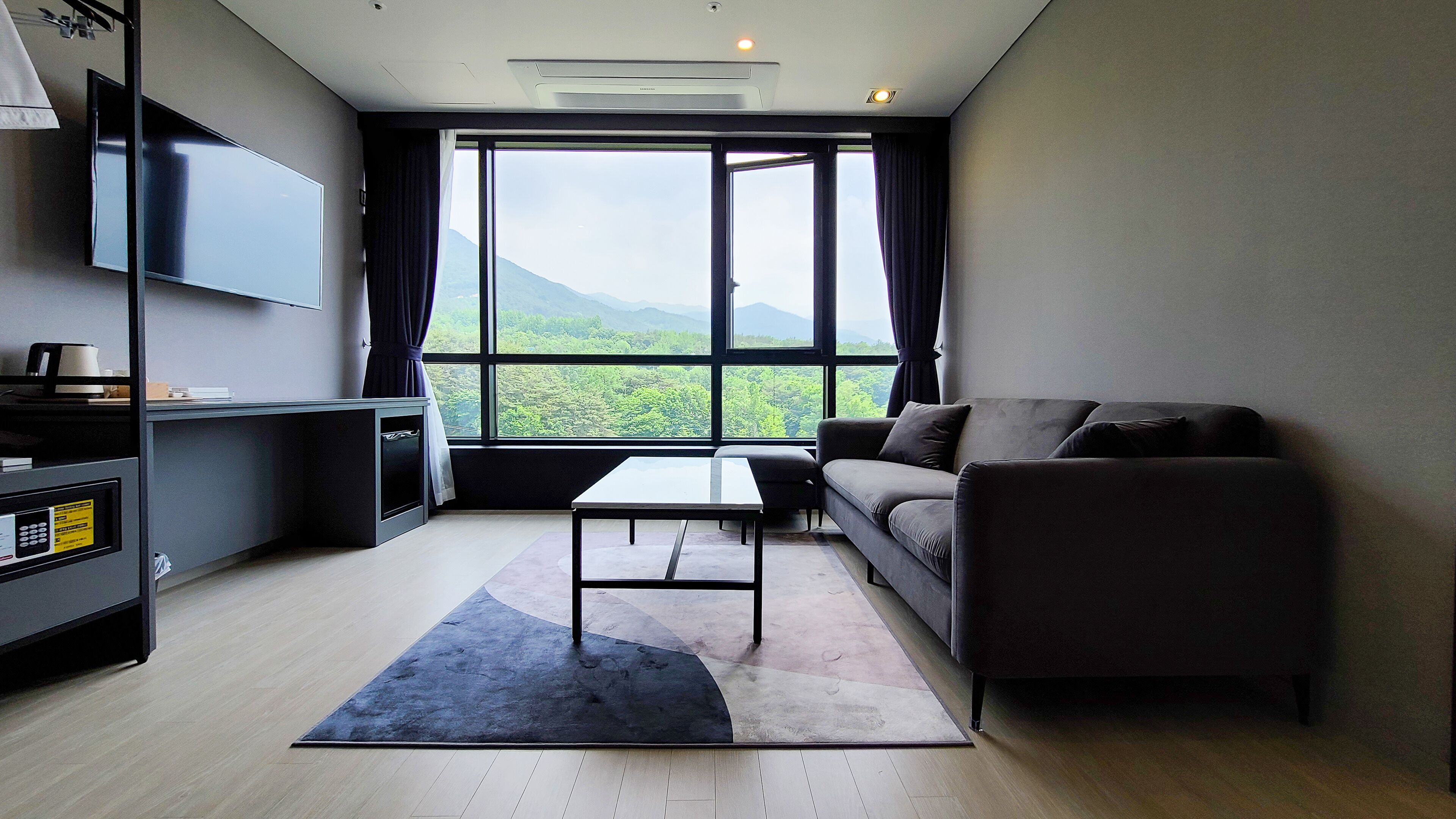 special suite | living area | flat-screen tv