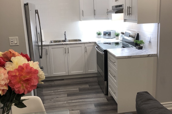 Großer Kühlschrank, Mikrowelle, Ofen, Herdplatte