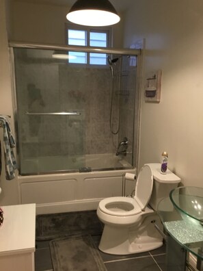 Bathroom features a glass-enclosed shower, toilet, and sink with a handheld showerhead.