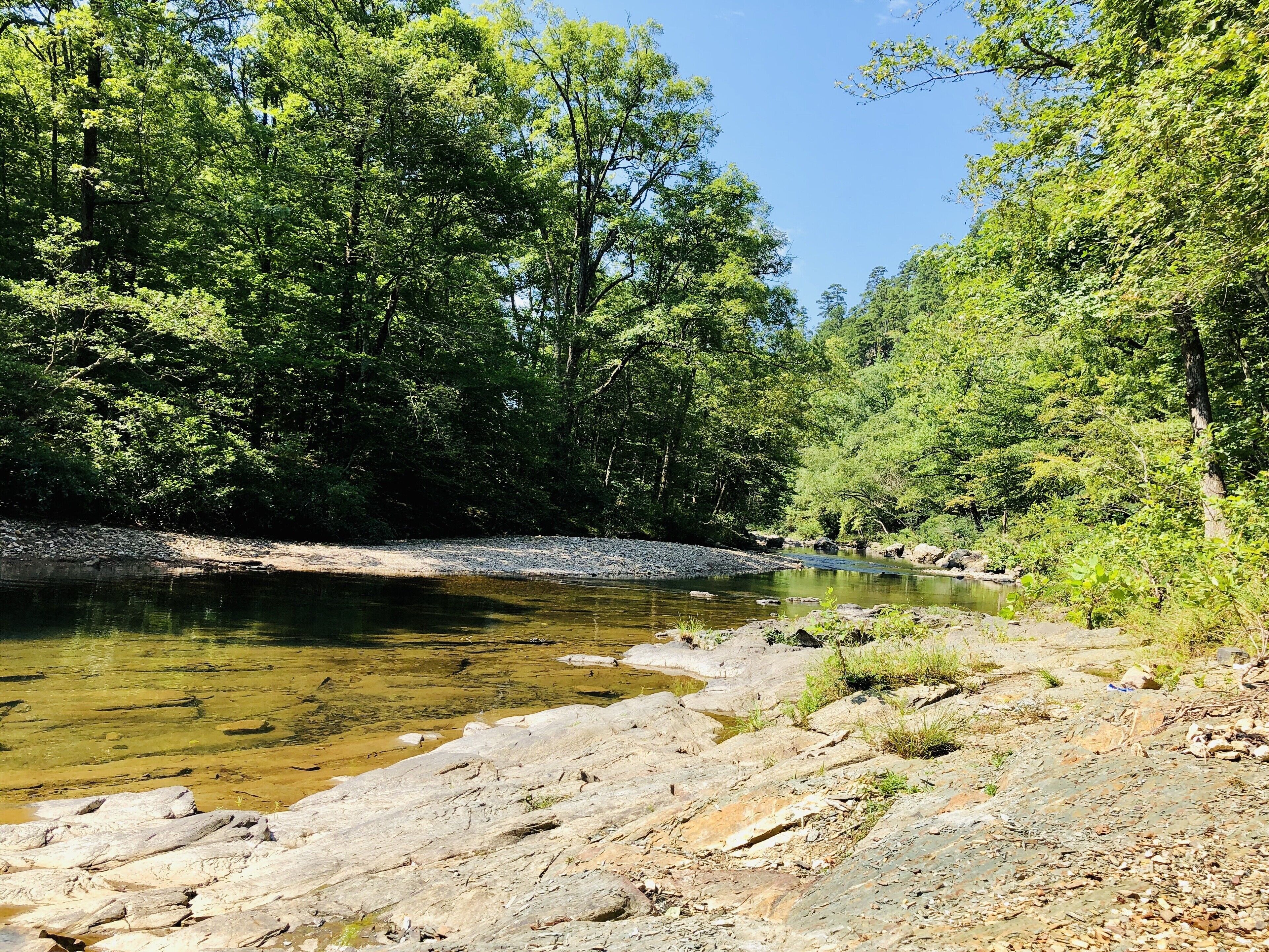A natural landscape with a river, rocky shore, and dense greenery.