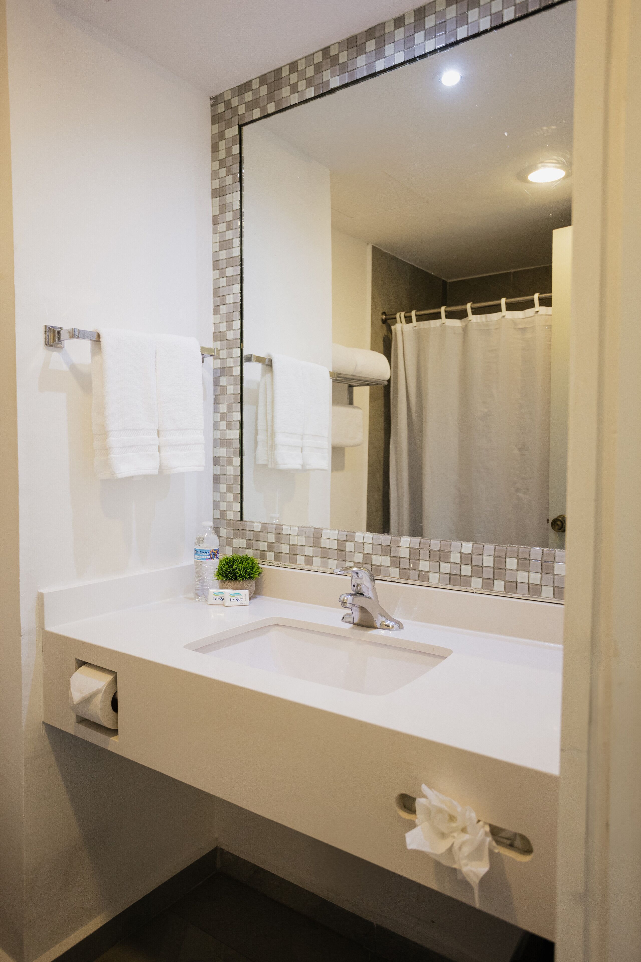 family studio suite | bathroom | rainfall showerhead, hair dryer, towels, soap