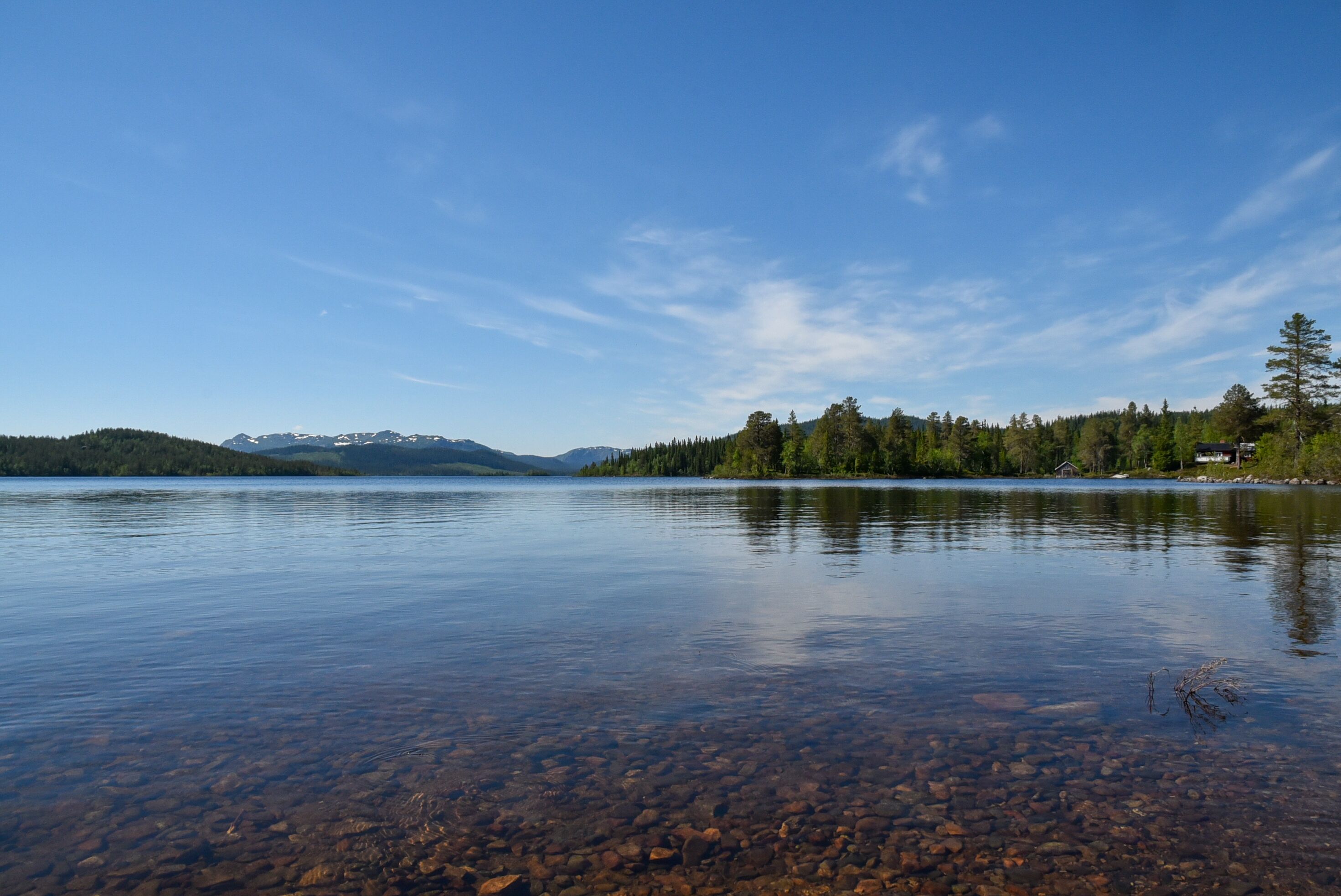 A clear lake with visible pebbles and a forested shoreline.