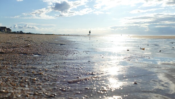 A beach with wet sand and a person walking in the distance. - Garden level T2+Cabin direct access to the sea (Cabourg)