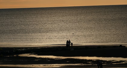 Rez de jardin T2+Cabine accés direct à la mer