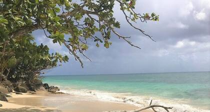 The hummingbird patio, original villa by the sea