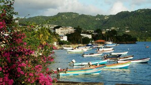 A coastal scene with boats docked near a shore, surrounded by lush greenery and buildings.